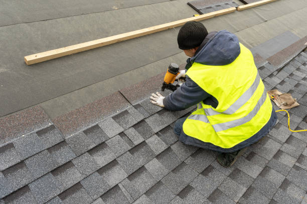Roof Gutter Cleaning in Viola, IL