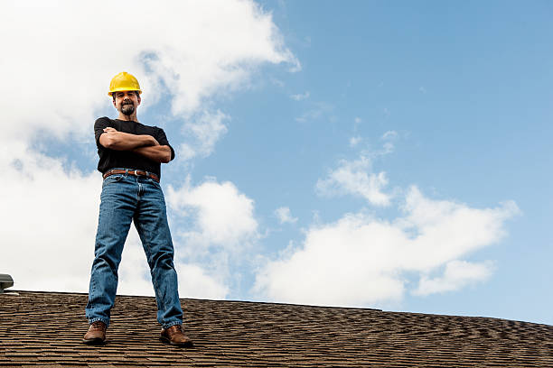 Best Flat Roof Repair Services  in Viola, IL