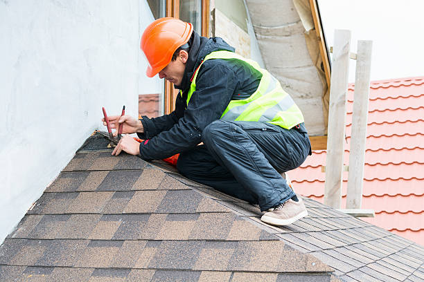 Best Flat Roof Repair Services  in Viola, IL