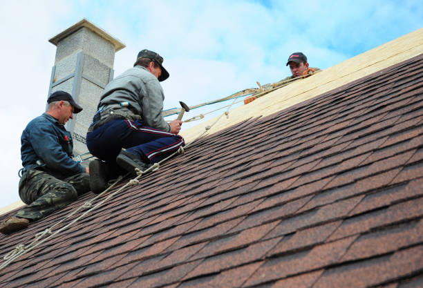 Best Commercial Roofing Services  in Viola, IL