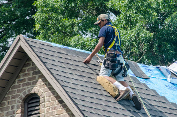 Quick and Trustworthy Emergency Roof Repair Services in Viola, IL